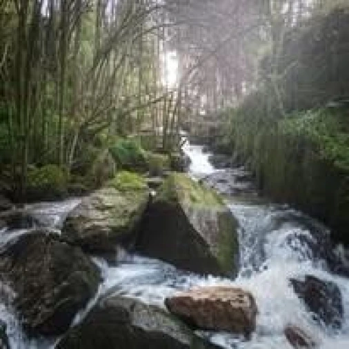 Terreno para Venda em Lagares e Figueira Foto 10