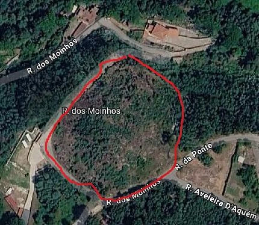 Terreno para Venda em Lagares e Figueira Foto 2