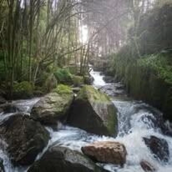 Terreno para Venda em Lagares e Figueira Foto 10