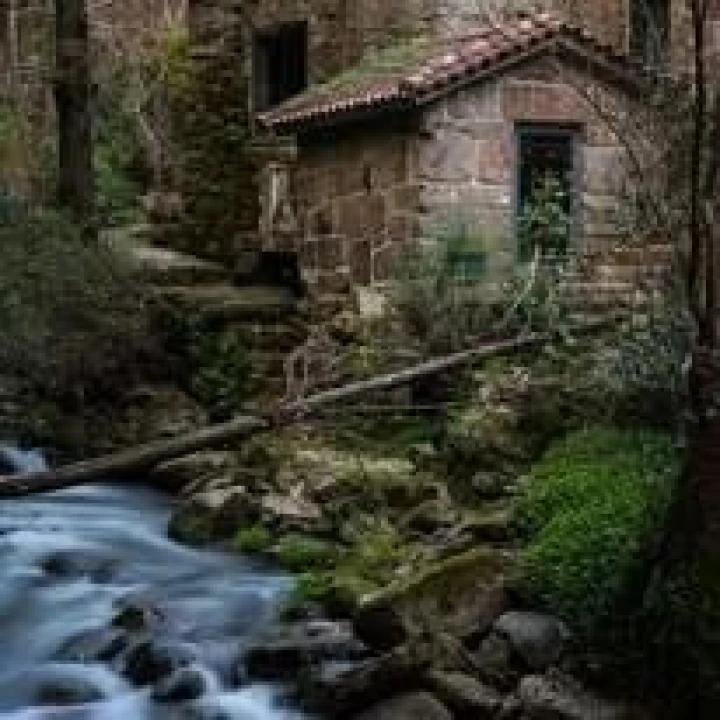 Terreno para Venda em Lagares e Figueira Foto 7