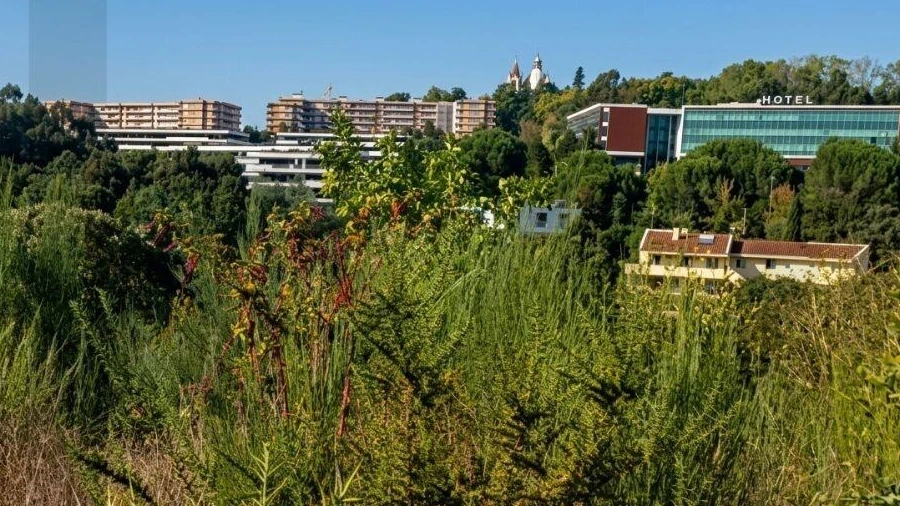 Terreno para Venda em Lagares e Figueira