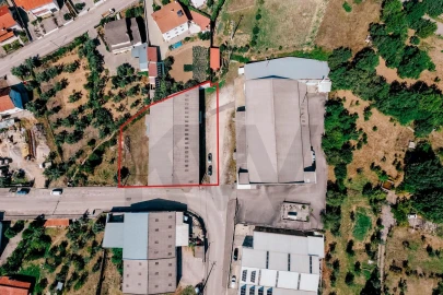 Armazém para Venda em Gois