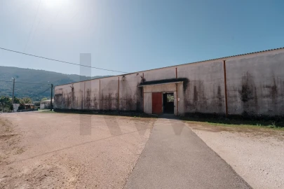 Armazém para Venda em Gois