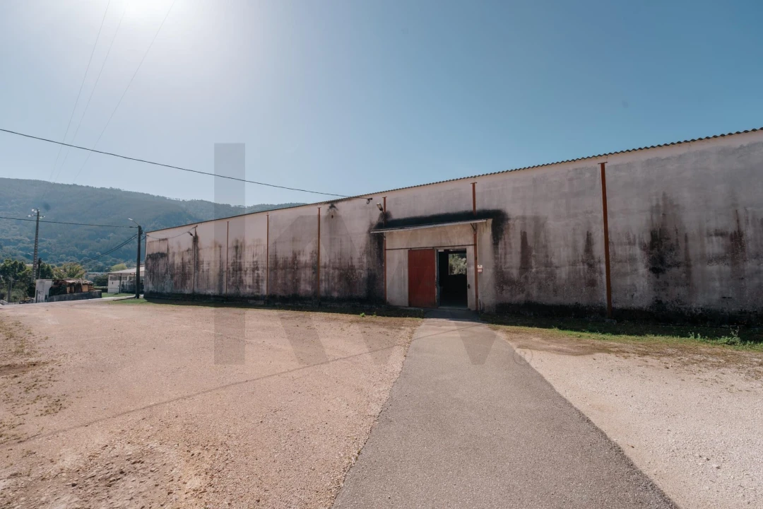 Armazém para Venda em Gois Foto 8