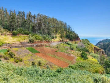 Terreno para Venda em Porto Moniz