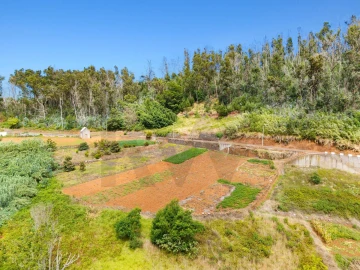 Terreno para Venda em Porto Moniz