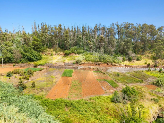 Terreno para Venda em Porto Moniz Foto 19