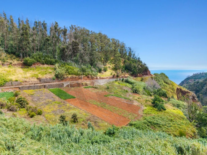 Terreno para Venda em Porto Moniz Foto 14