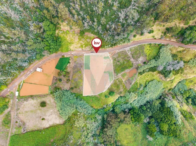 Terreno para Venda em Porto Moniz Foto 3