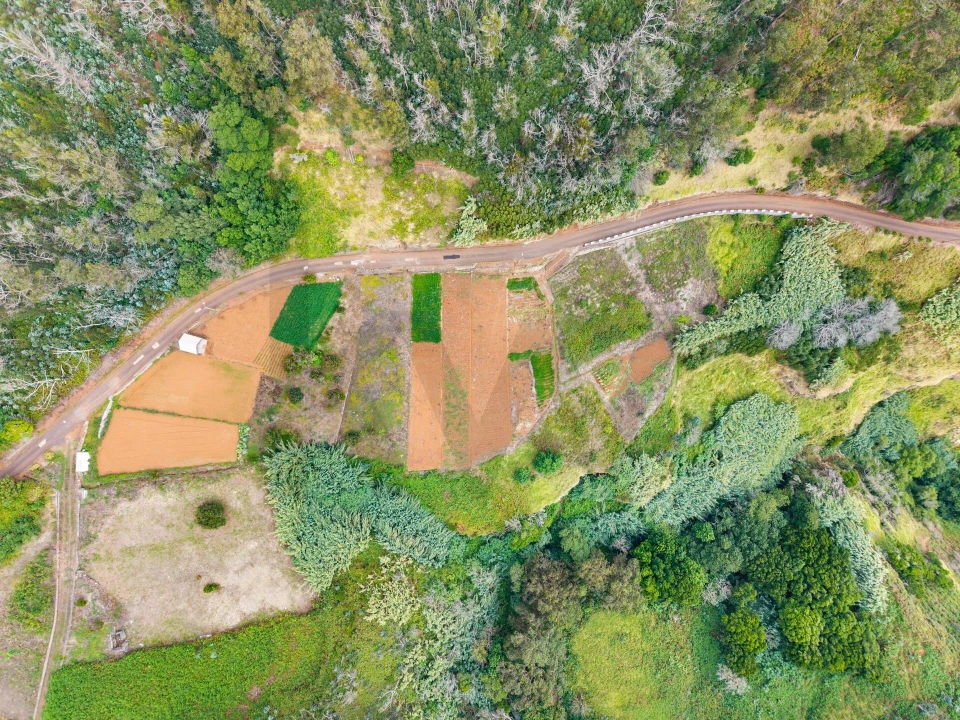 Terreno para Venda em Porto Moniz Foto 8