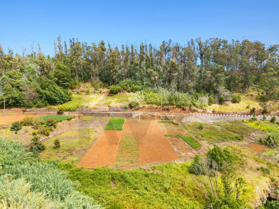 Terreno para Venda em Porto Moniz Foto 19