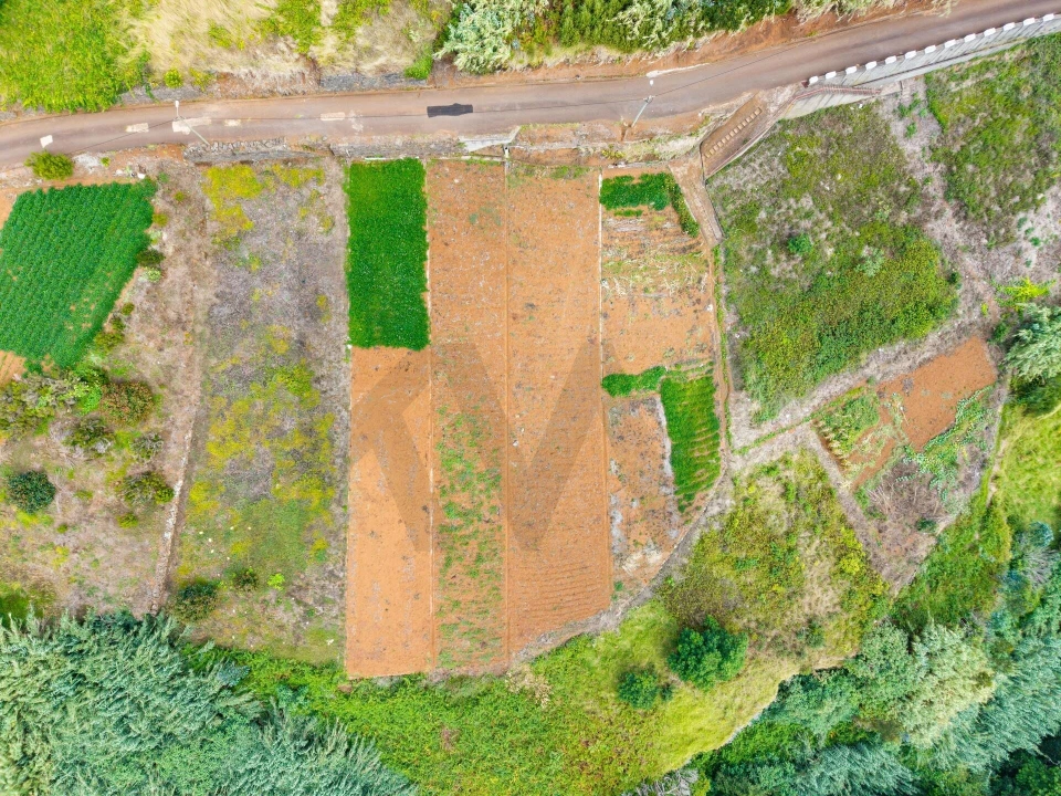 Terreno para Venda em Porto Moniz Foto 9