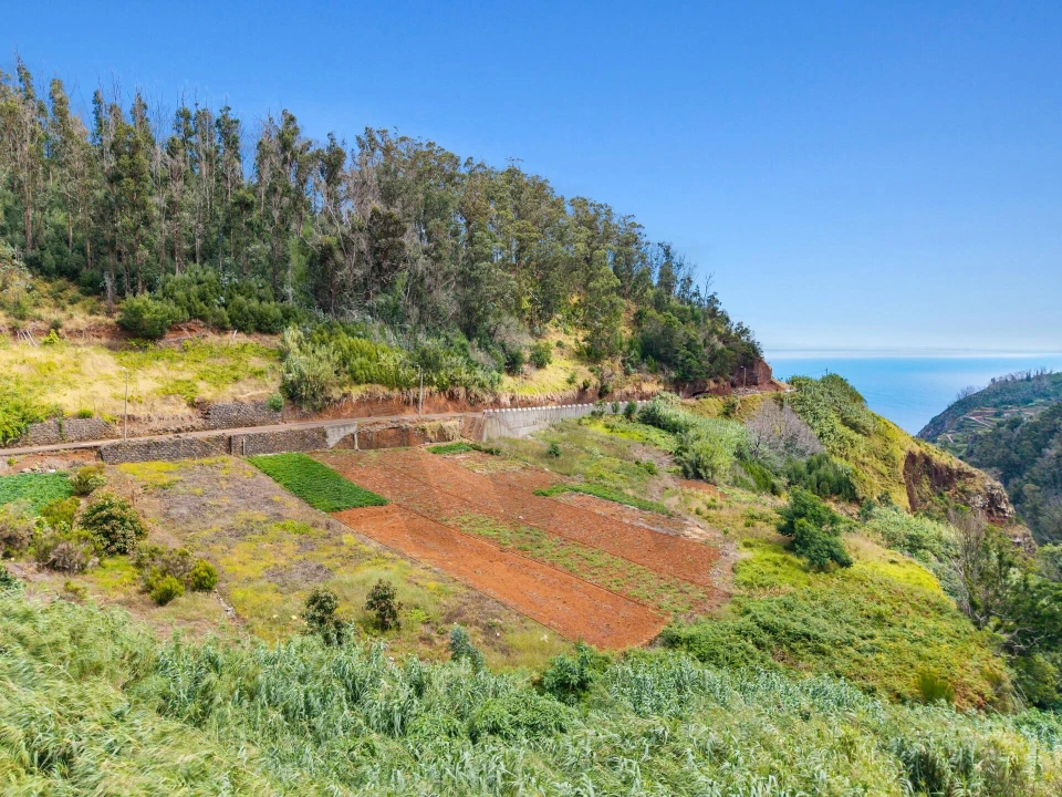 Terreno para Venda em Porto Moniz Foto 14