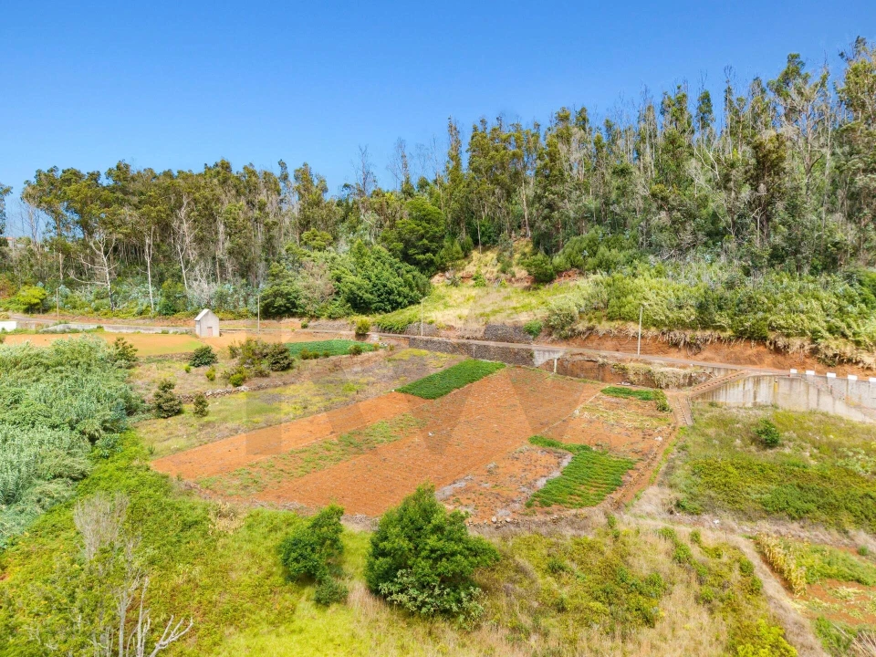 Terreno para Venda em Porto Moniz Foto 1