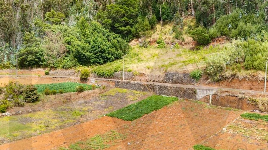 Terreno para Venda em Porto Moniz