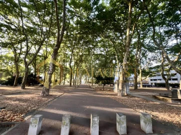 Apartamento T2 para Arrendamento em Campanhã