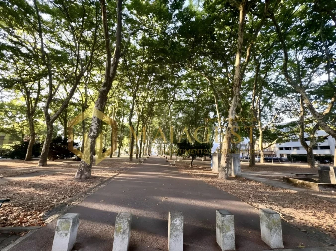 Apartamento T2 para Arrendamento em Campanhã Foto 37