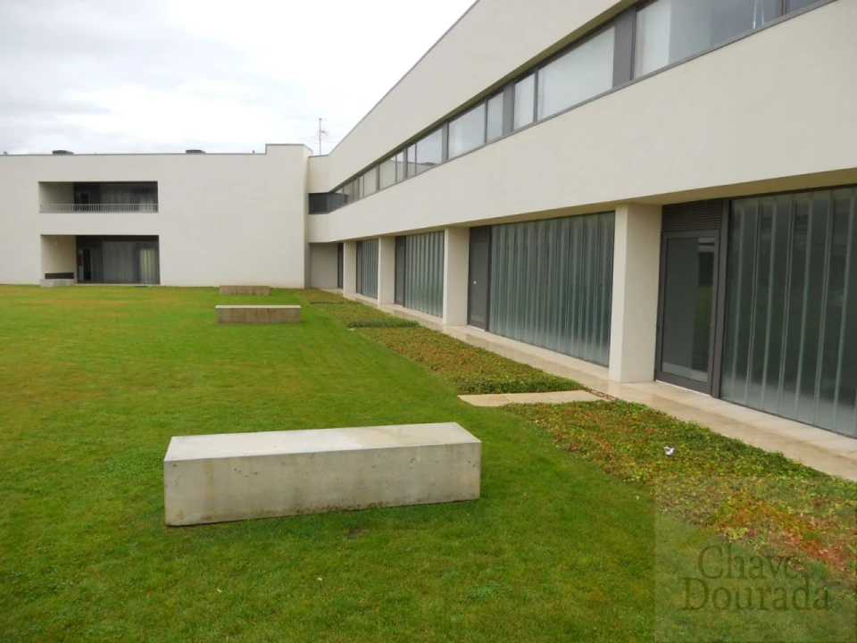 Apartamento T1 para Arrendamento em Santo Antonio dos Olivais Foto 12