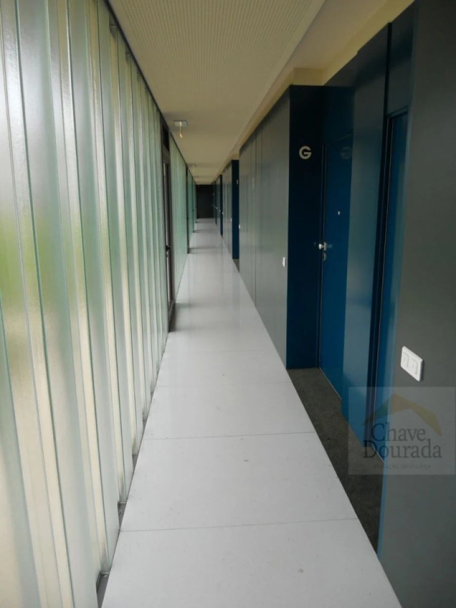 Apartamento T1 para Arrendamento em Santo Antonio dos Olivais Foto 13