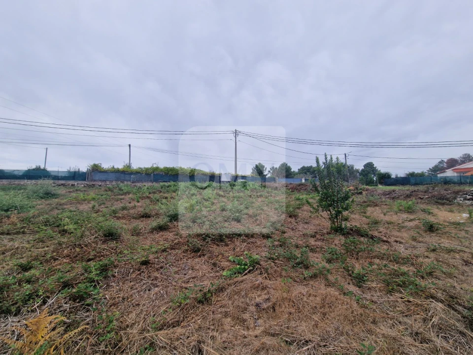 Terreno para Venda em Folhadela Foto 6