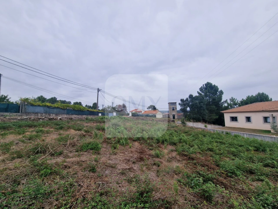 Terreno para Venda em Folhadela Foto 7