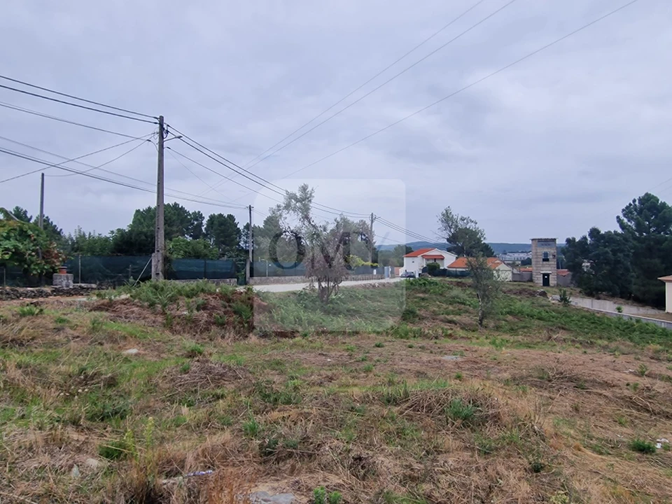Terreno para Venda em Folhadela Foto 3