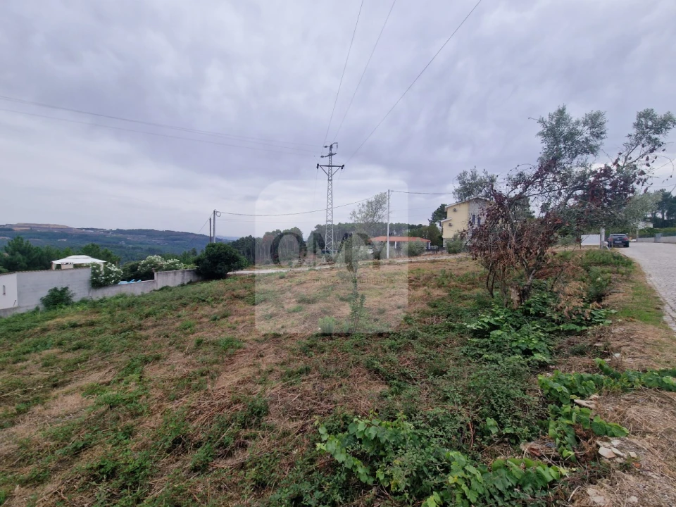 Terreno para Venda em Folhadela Foto 11