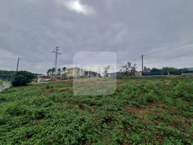 Terreno para Venda em Folhadela Foto 8