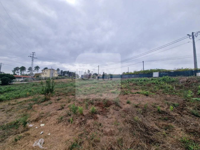 Terreno para Venda em Folhadela Foto 10