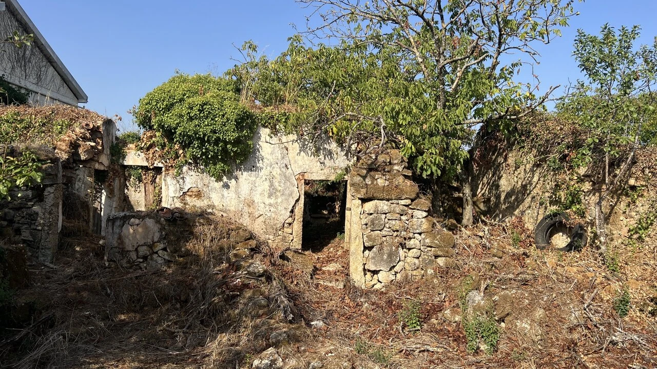 Moradia T7 para Venda em Chãos Foto 1