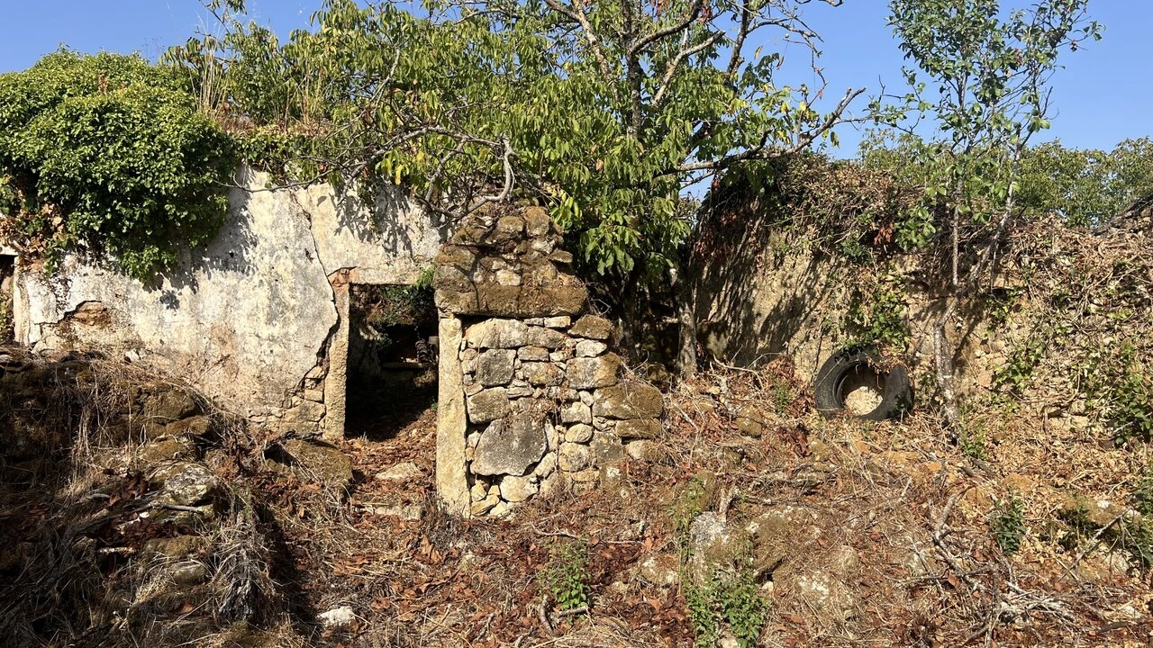 Moradia T7 para Venda em Chãos Foto 2