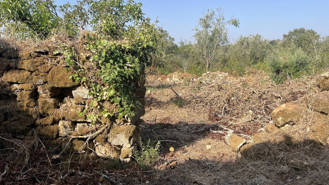 Moradia T7 para Venda em Chãos Foto 9