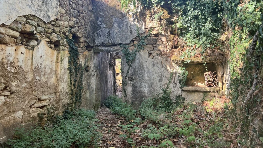 Moradia T7 para Venda em Chãos Foto 5