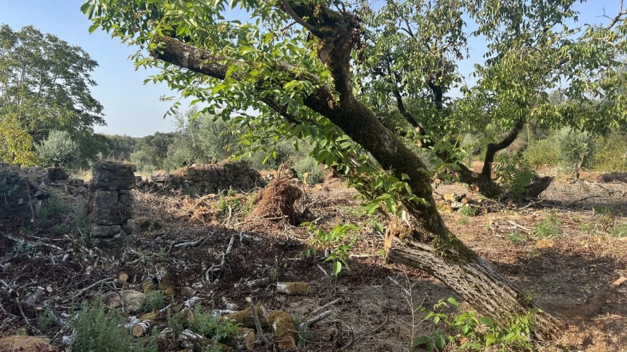 Moradia T7 para Venda em Chãos Foto 16