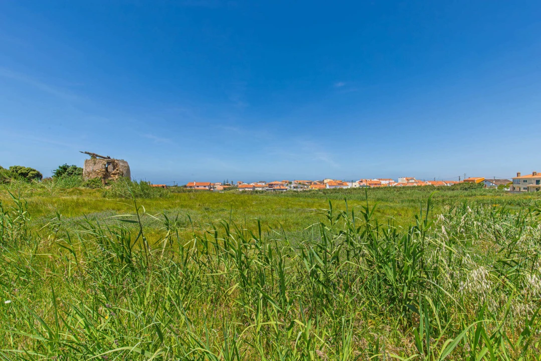 Terreno para Venda em Ericeira Foto 9