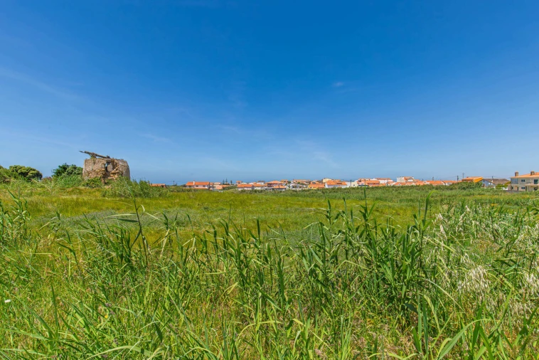 Terreno para Venda em Ericeira Foto 9