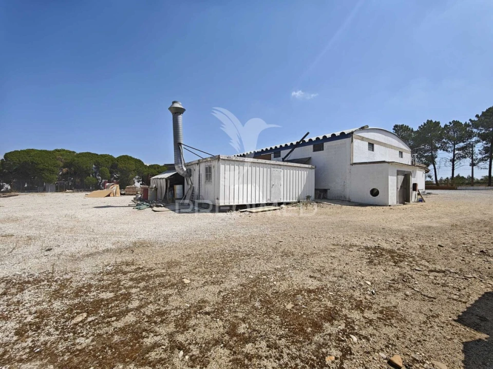 Armazém para Venda em Muge Foto 6