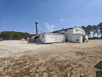 Armazém para Venda em Muge