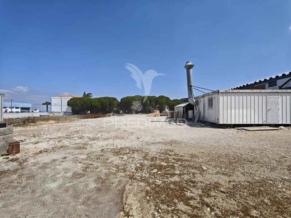Armazém para Venda em Muge Foto 5