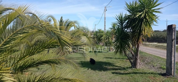 Quinta T4 para Venda em Casa Branca