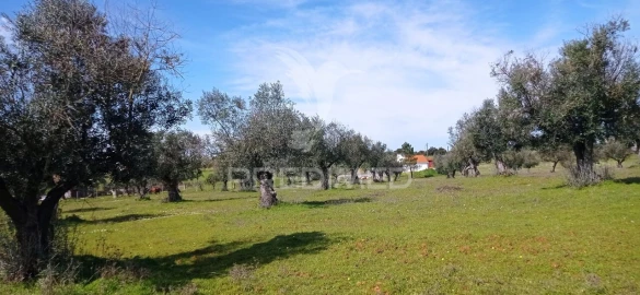 Quinta T4 para Venda em Casa Branca