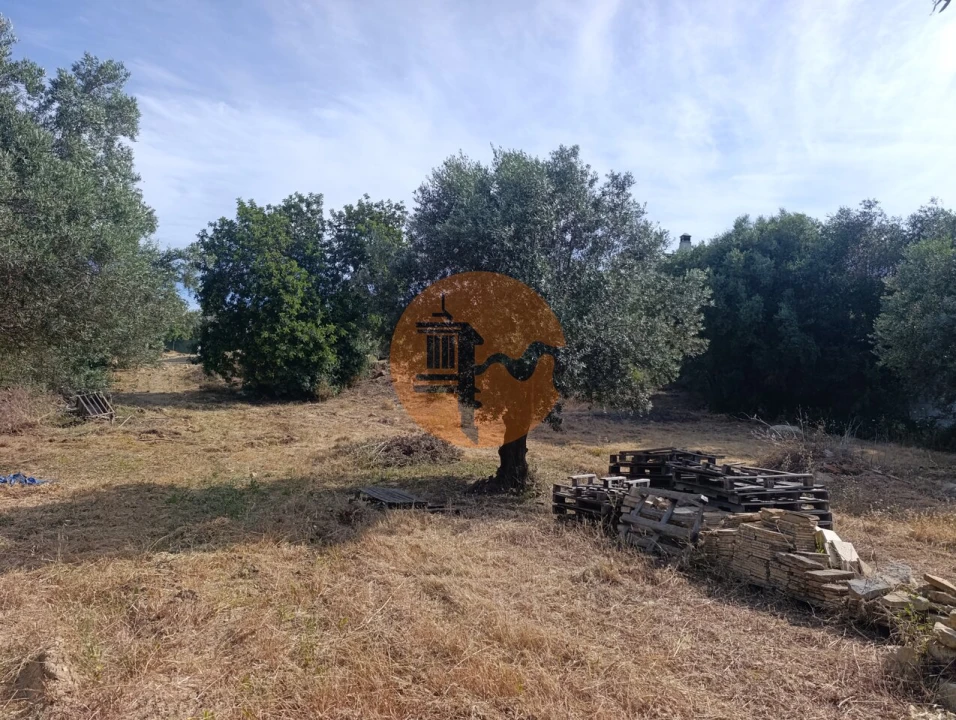 Terreno para Venda em Santa Barbara de Nexe Foto 23