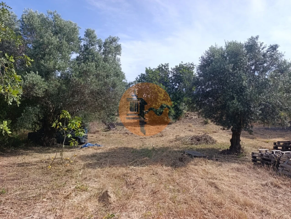 Terreno para Venda em Santa Barbara de Nexe Foto 25