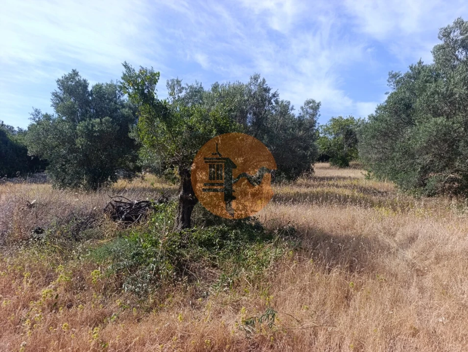 Terreno para Venda em Santa Barbara de Nexe Foto 26
