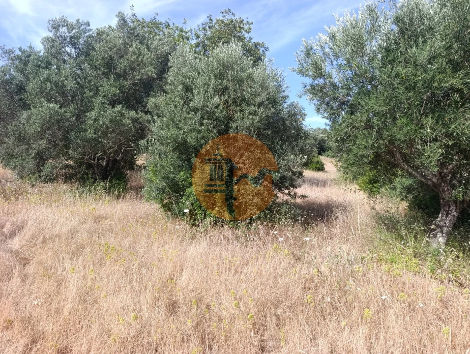 Terreno para Venda em Santa Barbara de Nexe Foto 27