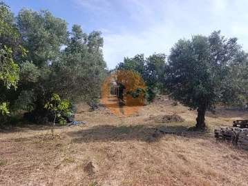 Terreno para Venda em Santa Barbara de Nexe