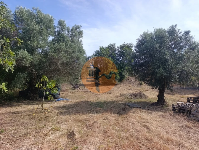 Terreno para Venda em Santa Barbara de Nexe Foto 25