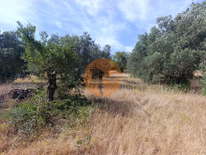 Terreno para Venda em Santa Barbara de Nexe Foto 28