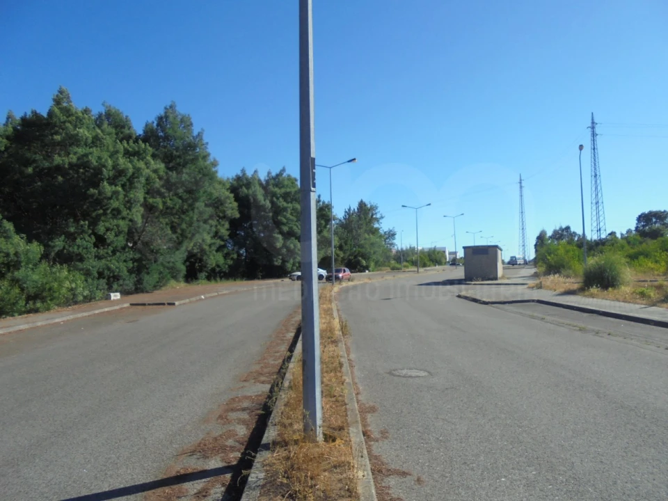 Terreno para Venda em Águeda e Borralha Foto 5