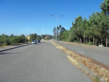 Terreno para Venda em Águeda e Borralha